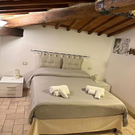 Il Nido Di Fede E Romy Apartment Castelnuovo Berardenga Luaran gambar